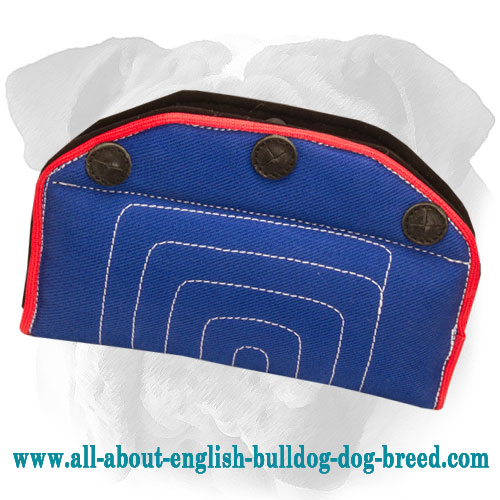 English Bulldog Bite Builder of French Linen with 3 Hard Handles