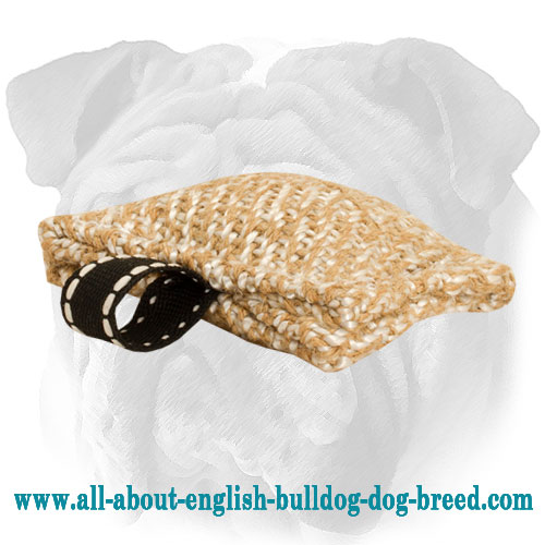 Small Easy Trasportable English Bulldog Puppy Bite Tug