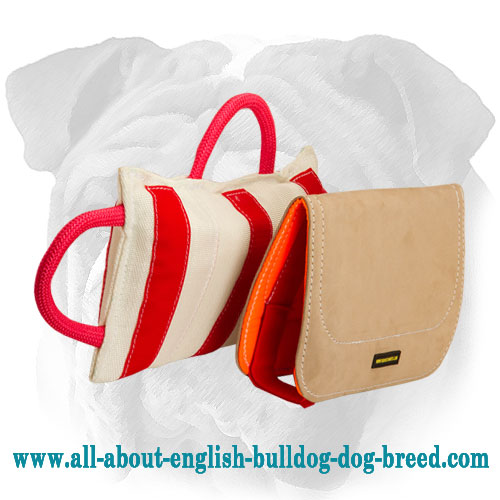 professional english bulldog bite pillow for advanced training