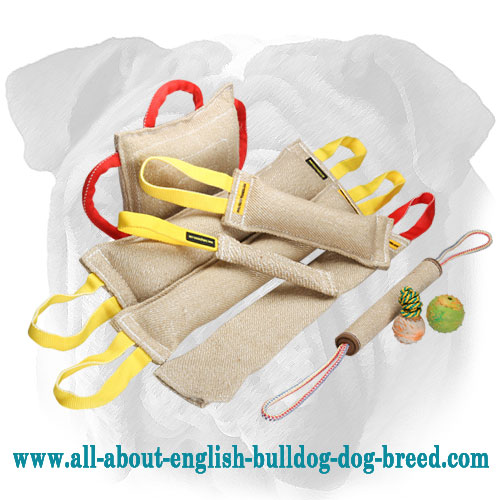 English Bulldog Training Supplies Jute Bite Tugs Set: Buy 6 - Get 9