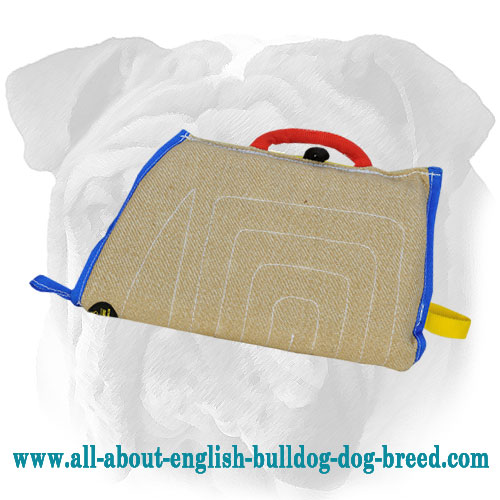 Effective Bite Puppy Training with Jute English Bulldog Sleeve