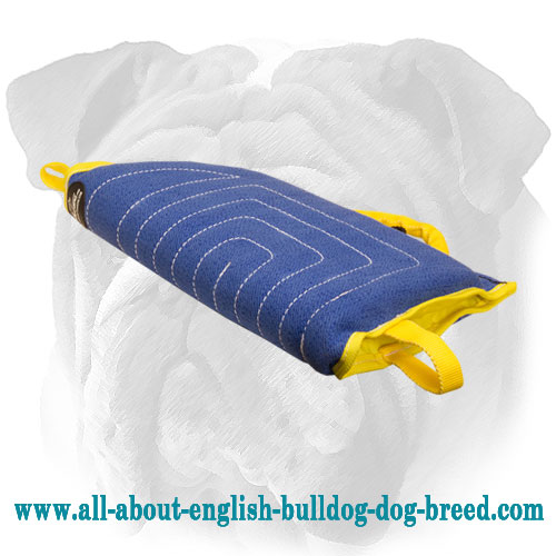 Puppy English Bulldog Linen Bite Sleeve for Training and Playing