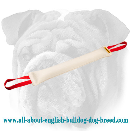 Non-Toxic Fire Hose English Bulldog Bite Tug with 2 Handles