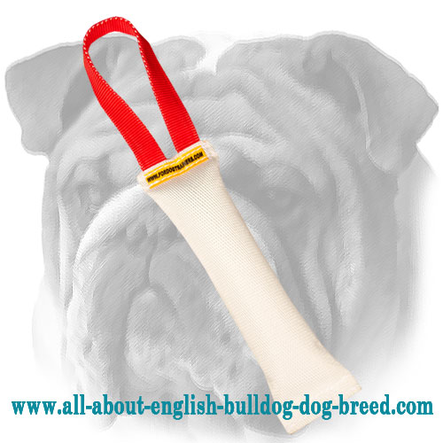 Pocket Fire Hose Bite Tug With Handle for English Bulldog Puppy - Click Image to Close