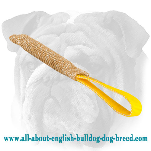 Pocket Jute English Bulldog Bite Tug for Puppy Training - Click Image to Close