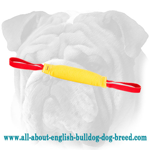 French Linen Puppy English Bulldog Bite Tug - Click Image to Close