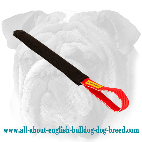 Puppy Training Pocket Bite Tug with Handle for young English Bulldog