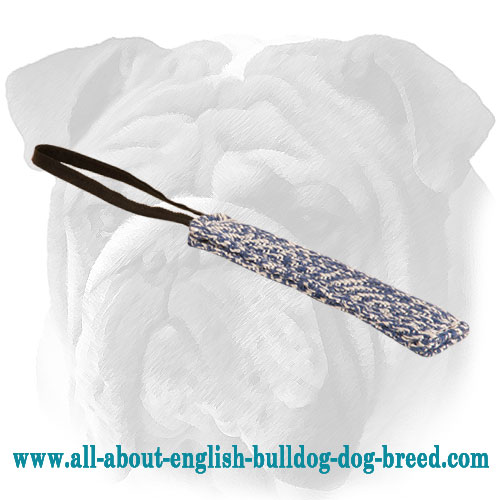 French Linen Bite Tug with One Loop for English Bulldog Puppy