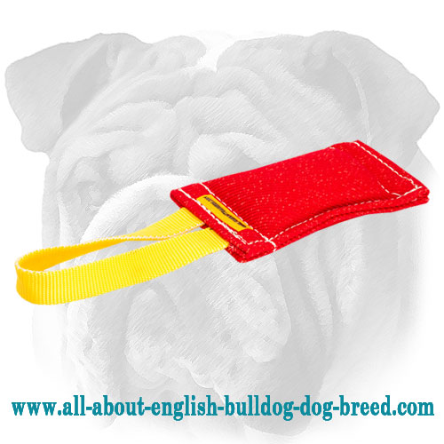 Great Synthetic-French Linen Bite Tug for English Bulldog