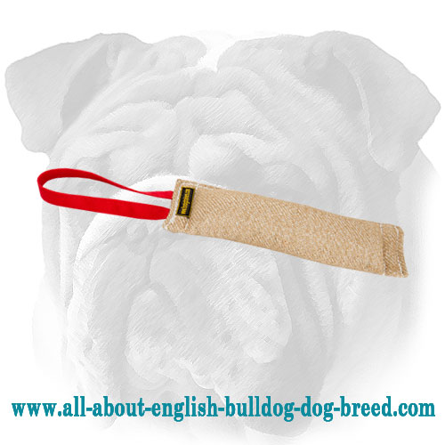 English Bulldog Jute Bite Tug for Puppy Training