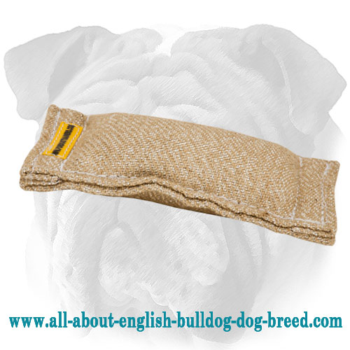 Lightweight Pocket English Bulldog Bite Tug for Puppies