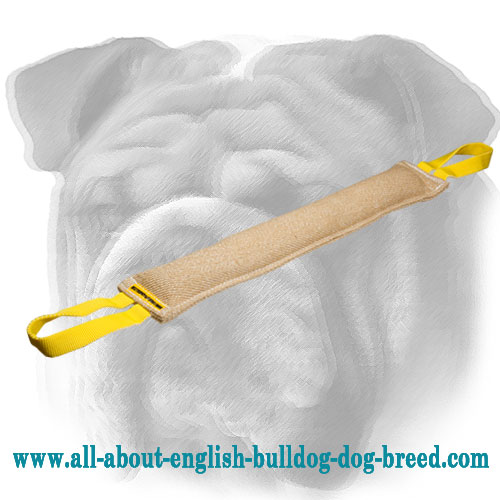 Pro Jute English Bulldog Bite Tug for Young Dog Training - Click Image to Close