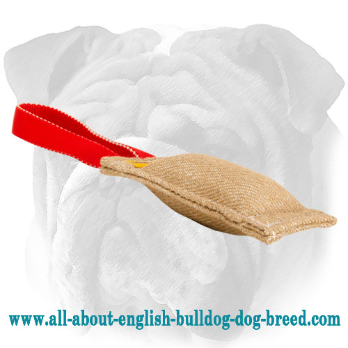 First-Rate Jute English Bulldog Tug for Puppy Bite Training - Click Image to Close
