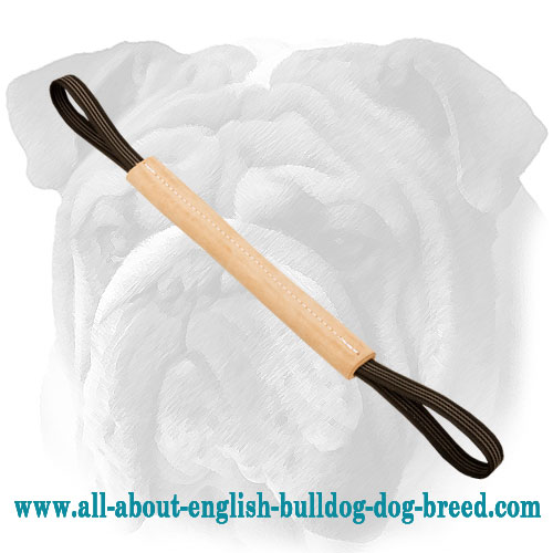 Hard Pocket Leather English Bulldog Bite Tug with 2 Handles