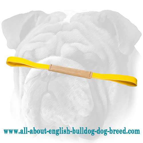 Soft Leather Bite Tug for English Bulldog Puppy Training