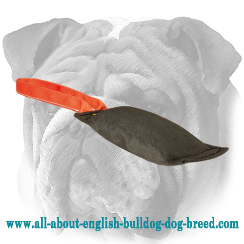 Leather Bite Tug For English Bulldog with Soft Handle