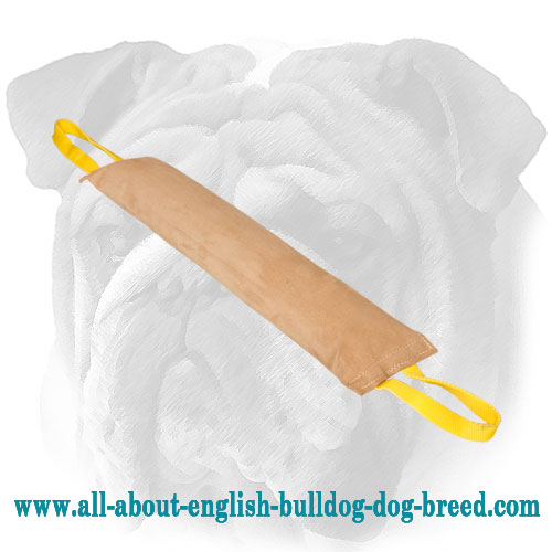Handmade Leather English Bulldog Bite Tug with 2 Handles