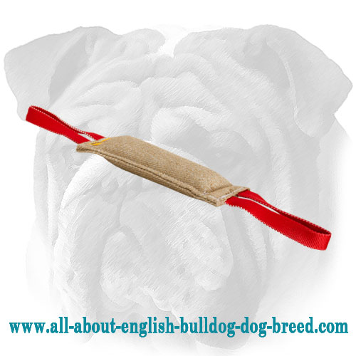 Superior Puppy Jute English Bulldog Bite Tug with 2 Handles - Click Image to Close