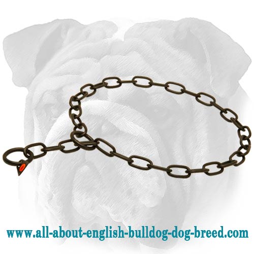 Black Stainless Steel English Bulldog Fur Saver - 1/8 inch (3 mm)