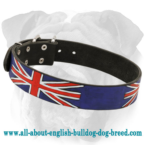Fantastic Handpainted Union Jack Collar for English Bulldog Breed