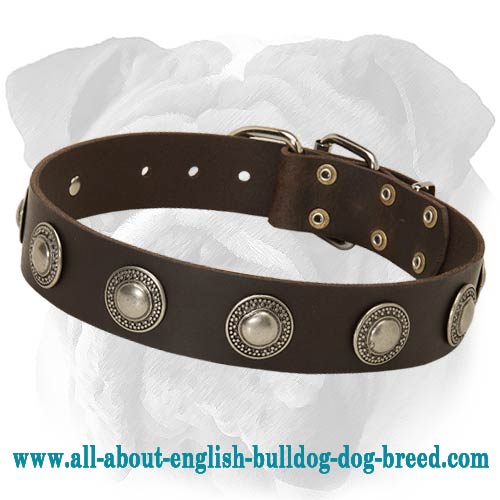 Deluxe dog collars top