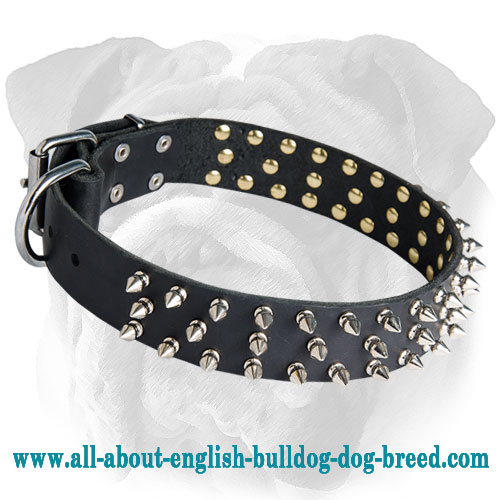 Superior Spiked Dog Collar for English Bulldog Walking