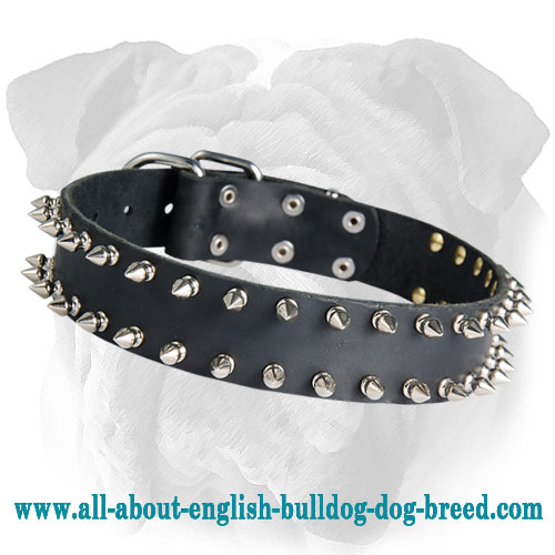 Double Row Spiked Leather Collar for English Bulldog