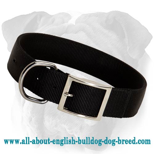 Durable Nylon Dog Collar for English Bulldog