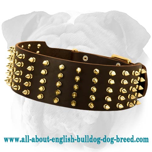 Royal Spiked Leather English Bulldog Collar