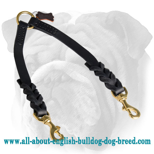 Braided Genuine Leather Coupler for Walking Two English Bulldogs