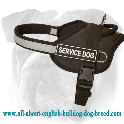 Heavy Duty Nylon Dog Harness for English Bulldog