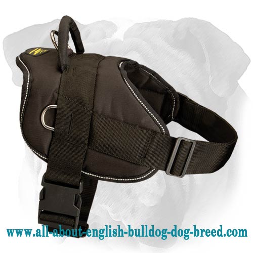 Pleasant Walking Nylon Dog Harness for English Bulldog