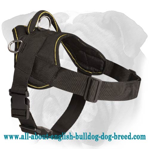 Nylon English Bulldog Harness for Pulling, Tracking, Hiking, Training