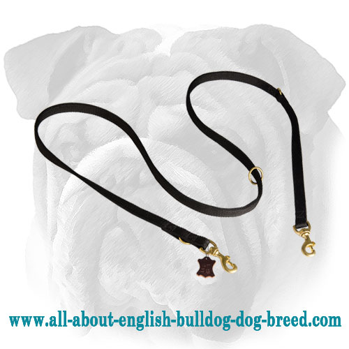 Fantastic English Bulldog Leash - Multitask Nylon Lead