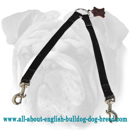 Nylon Coupler Leash for 2 English Bulldogs