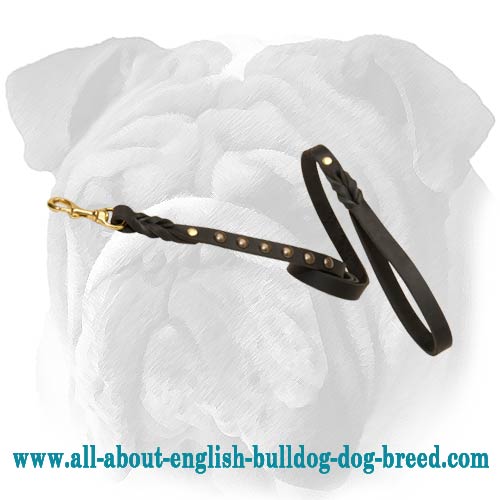 Fantastic Leather English Bulldog Leash with Brass Studs