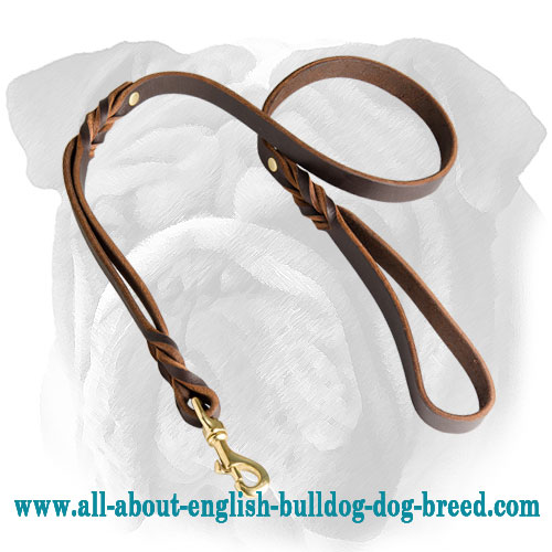 Gorgeous Leather English Bulldog Leash With Extra Handle