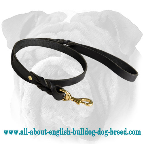 Handmade Leather English Bulldog Leash Adorned with Braids