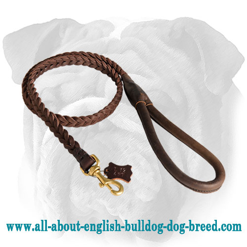 Delightful Braided Leather English Bulldog Leash with Round Handle