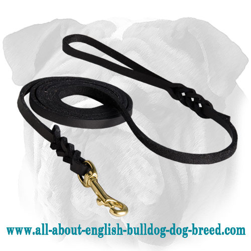 Soft Premium Leather Leash with Braided Ends for English Bulldog