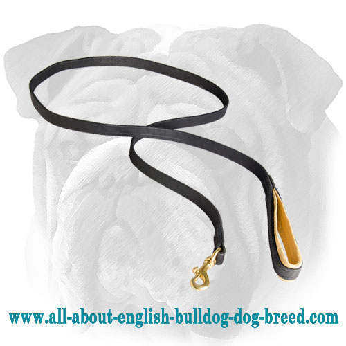 Long Leather Lead For English Bulldog Breed with Nappa Padded Handle