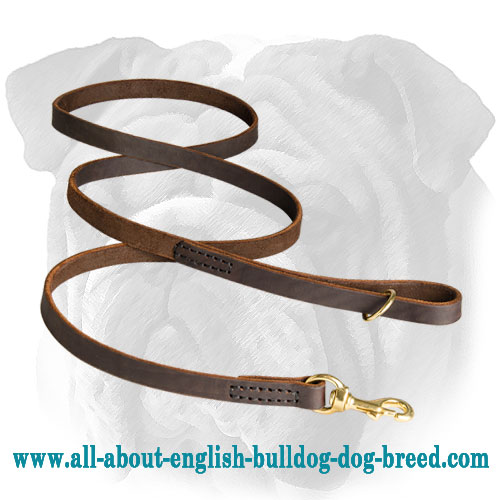 Premium Quality Genuine Leather Leash for English Bulldog