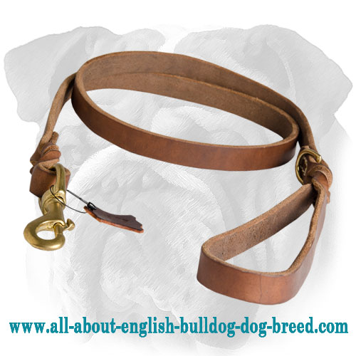 Latigo Braided Leather Waist Lead for English Bulldog