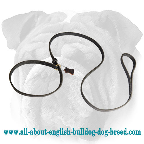 Leather Combo Leash for English Bulldog