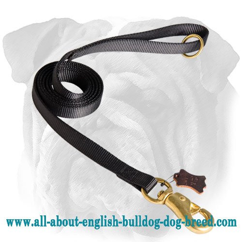Any Weather and Any Occasion Nylon Leash for English Bulldog