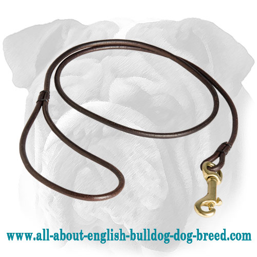 Marvelous Leather English Bulldog Leash for Dog Shows