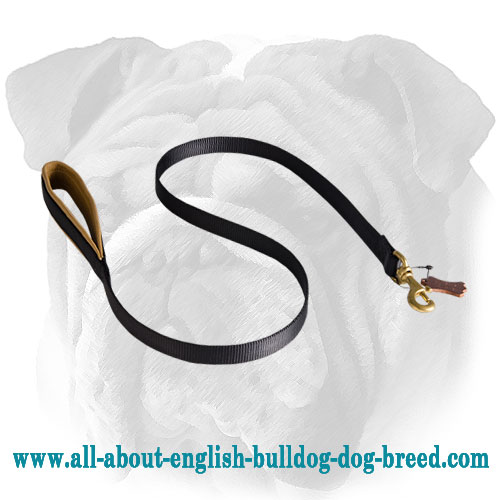 All Weather Nylon Leash for English Bulldog