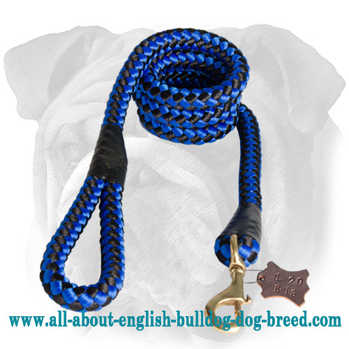 Round Nylon Leash With Brass Snap Hook for English Bulldog