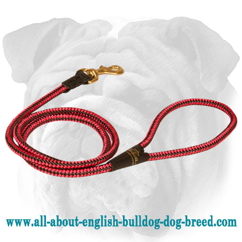 Multitask Motley Nylon Leash for English Bulldog