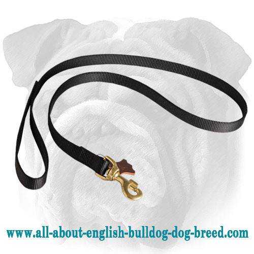 High Quality Feature-Rich Nylon English Bulldog Leash - Click Image to Close